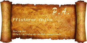 Pfisterer Anita névjegykártya